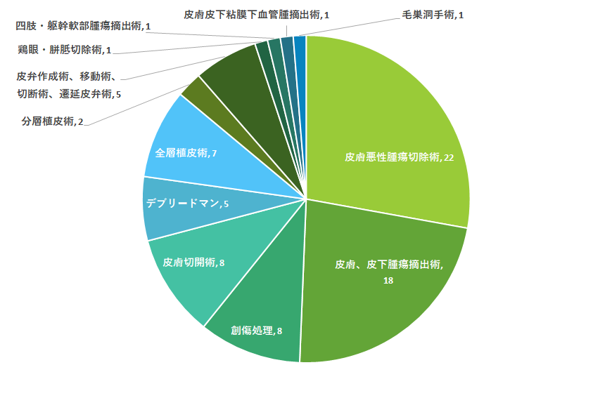2025hifukasyujutukensu.png